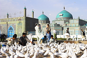 People feeding famous white pigeons at Shrine of Hazrat Ali, Mazar-I-Sharif, Afghanistan, Asia