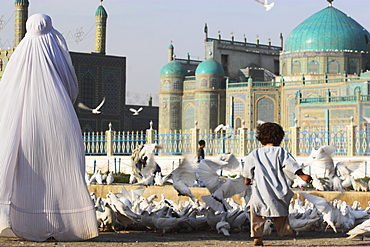 Lady in burqa feeding famous white pigeons whilst child chases them, Shrine of Hazrat Ali, Mazar-i-Sharif, Balkh, Afghanistan, Asia