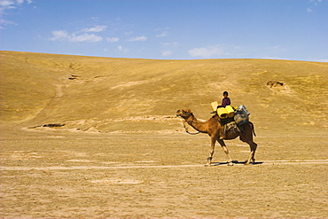 Boy riding camel, between Maimana and Mazar-I-Sharif, Afghanistan, Asia