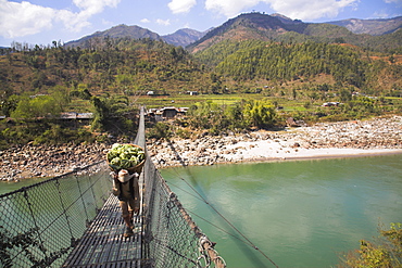 Man carrying vegetables across a rope bridge, Trisuli Center, Bandare Village, Trisuli Valley, Nepal, Asia