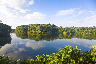 Gatun Lake, Panama Canal, Panama, Central America