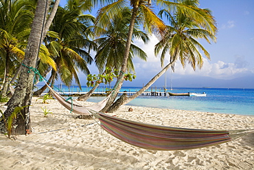 Hammocks hanging between palm trees, Kuanidup Grande, Comarca de Kuna Yala, San Blas Islands, Panama, Central America