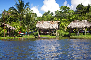 Warao Indian hatched-roof huts built upon stilts, Delta Amacuro, Orinoco Delta, Venezuela, South America