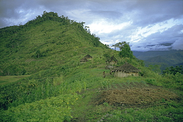 Yali village, Irian Jaya (West Irian) (Irian Barat), New Guinea, Indonesia, Asia