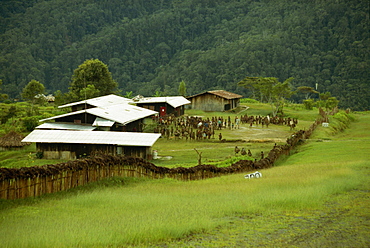 Airstrip, South Beliam Valley, Irian Jaya, Indonesia, Southeast Asia, Asia