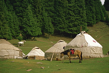 Yurts and horses near Lake Tianche in Xinjiang Province, China, Asia