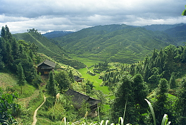 Aerial view over terraced valley between Taijang and Fanpai, Guizhou Province, China, Asia