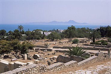 Remains of Roman villas, Carthage, UNESCO World Heritage Site, Tunisia, North Africa, Africa