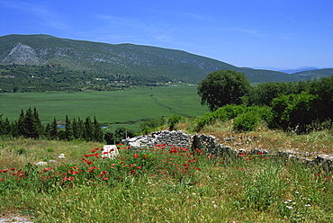 Neretva Delta Valley, Croatia, Europe