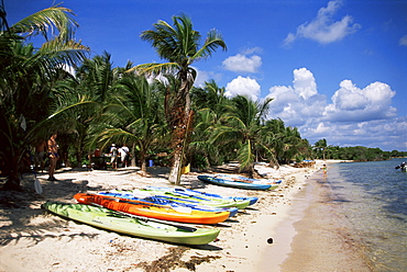 Beach with palm trees and kayaks, Punta Soliman, Mayan Riviera, Yucatan peninsula, Mexico, North America