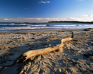 Beach and sea at dusk, Alnmouth, Northumberland, England, United Kingdom, Europe