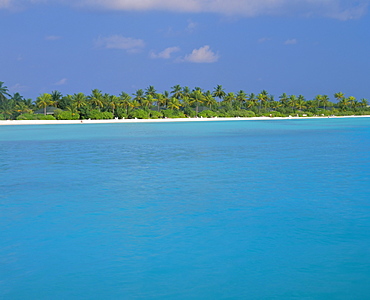 North Male Atoll, The Maldives, Indian Ocean, Asia