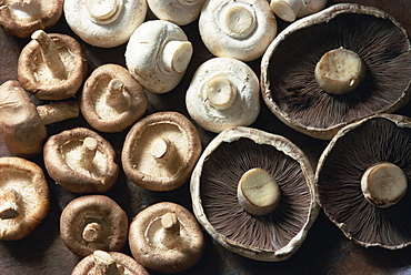 Mushrooms