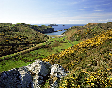 View to sea and beach from coast path near Lower Solva, Pembrokeshire, Wales, United Kingdom, Europe