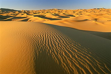 Dunes of the Erg Chebbi, Sahara Desert near Merzouga, Morocco, North Africa, Africa