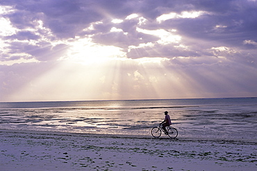 Fisherman cycling along the beach near Bweju against dramatic sky, island of Zanzibar, Tanzania, East Africa, Africa