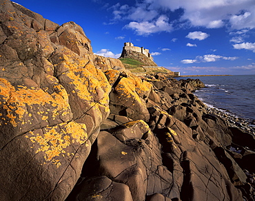 Lindisfarne Castle, Holy Island, Northumberland, England, United Kingdom, Europe