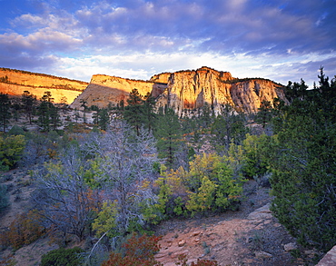 First light on the hills, Zion National Park, Utah, United States of America, North America