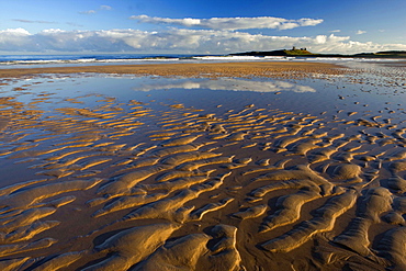 View across Embleton Bay at low tide towards the ruins of Dunstanburgh Castle, near Alnwick, Northumberland, England, United Kingdom, Europe