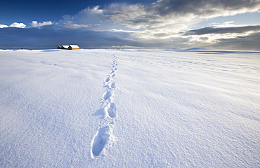 Footsteps in freshly-fallen snow leading off into distance towards dramatic winter sky, Alnmouth, near Alnwick, Northumberland, England, United Kingdom, Europe