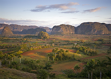 View of Vinales Valley at dawn from grounds of Hotel Los Jasmines showing limestone hills known as Mogotes characteristic of the region, near Vinales, Pinar Del Rio, Cuba, West Indies, Central America