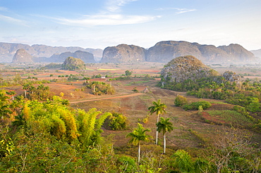 Early morning view over the Vinales Valley, UNESCO World Heritage Site, from Hotel Los Jasmines, Vinales, Pinar del Rio, Cuba, West Indies, Central America