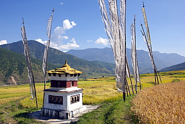 Chorten and prayer flags in the Punakha Valley near Chimi Lhakhang Temple, Punakha, Bhutan, Himalayas, Asia