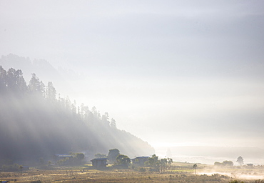 Early morning view along the mist-filled Gangtey Valley towards traditional rural Bhutanese houses near Gangtey, Bhutan, Himalayas, Asia