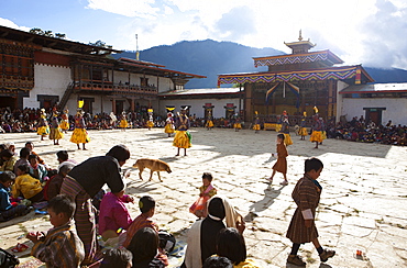 Masked dance in the main courtyard of the Gangte Goemba while local people and tourists watch during the Gangtey Tsechu, Gangte, Phobjikha Valley, Bhutan, Asia