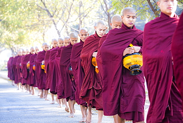 Buddhist monks walking along road to collect alms, near Shwezigon Paya, Nyaung U, Bagan, Myanmar (Burma), Asia