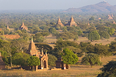 View over the temples of Bagan bathed in evening sunlight, from Shwesandaw Paya, Bagan, Myanmar (Burma), Southeast Asia