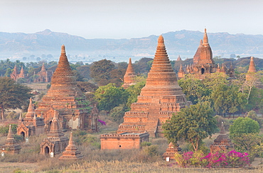 View over the temples of Bagan swathed in early morning mist, from Shwesandaw Paya, Bagan, Myanmar (Burma), Southeast Asia