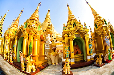 Fisheye image of shrines at Shwedagon Paya (Pagoda), Yangon (Rangoon), Myanmar (Burma), Asia