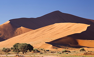 Ancient orange sand dunes of the Namib Desert at Sossusvlei, near Sesriem, Namib Naukluft Park, Namibia, Africa