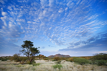 Early morning view across barren landscape towards sandstone mountains beneath dramatic sky, near Spitzkoppe, Namibia, Africa