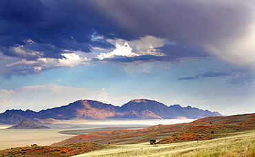 View at dusk over the magnificent landscape of the Namib Rand game reserve, Namib Naukluft Park, Namibia, Africa