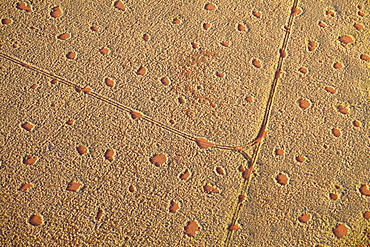 Aerial view from hot air balloon of sand road cutting across desert landscape covered in Fairy Circles, Namib Rand game reserve Namib Naukluft Park, Namibia, Africa