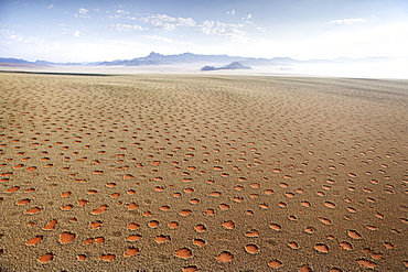 Aerial view from hot air balloon over magnificent desert landscape of sand dunes, mountains and Fairy Circles, Namib Rand game reserve Namib Naukluft Park, Namibia, Africa