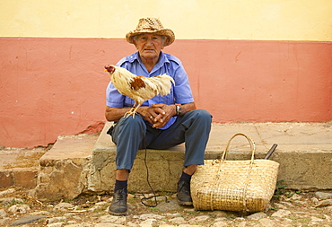 Local man wearing straw hat with cockerel standing on his knee, Trinidad, Cuba, West Indies, Central America