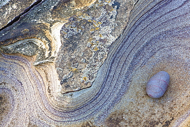 Patterns created by sea erosion on rocks at Rumbling Kern, near Howick, Alnwick, Northumberland, England, United Kingdom, Europe