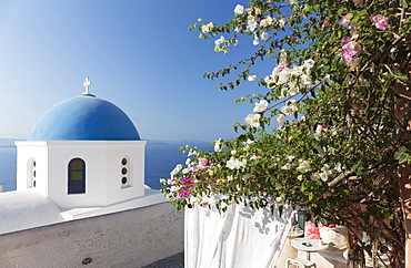 White church with blue dome and flowers, Oia, Santorini, Cyclades, Greek Islands, Greece, Europe