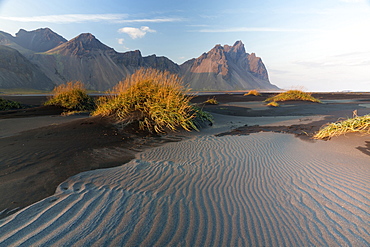 Vestrahorn Mountain range and black volcanic beach, Stokksnes, South Iceland, Polar Regions