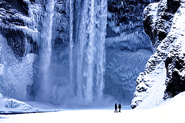 Winter view of Skogafoss waterfall, with cliffs covered in icicles and foregreound covered in snow, Skogar, South Iceland, Polar Regions