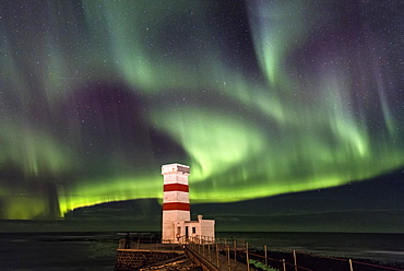 Spectacular display of the Aurora Borealis (Northern Lights) at Gardur, on the Reykjanes Peninsula, Iceland, Polar Regions