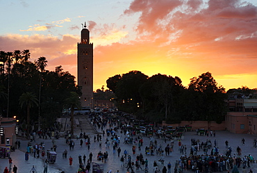 View towards the Koutoubia Minaret at sunset from the Djemaa el Fna, Marrakech, Morocco, North Africa, Africa