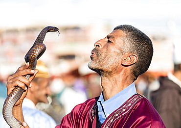 Snake charmer, Djemaa el Fna, Marrakech, Morocco, North Africa, Africa