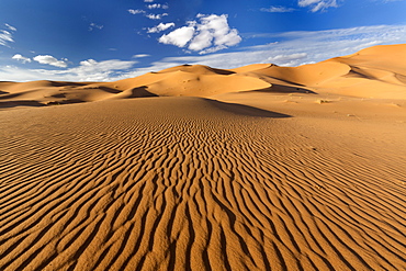 Wide angle view of the ripples and dunes of the Erg Chebbi Sand sea, part of the Sahara Desert near Merzouga, Morocco, North Africa, Africa