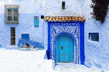 Typical scene in the old town of Chefchaouen (Chaouen) (The Blue City), Morocco, North Africa, Africa