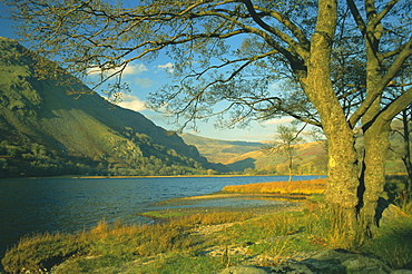 Llyn Gwynant (Lake Gwynant), Gwynedd, North Wales, UK, Europe