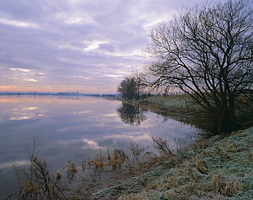 Winter fenland scene, Whittlesey, near Peterborough, Cambridgeshire, England, UK, Europe